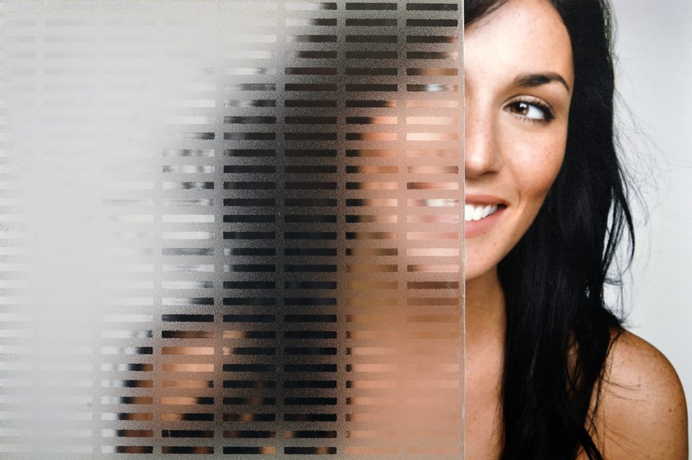 SGV-6601-UG Master Ray decorative window film โ Arizona House of Film