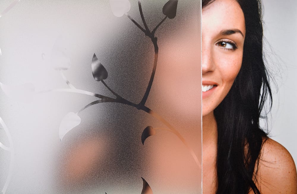 SX-1549 Frosted Fall decorative window film โ Arizona House of Film