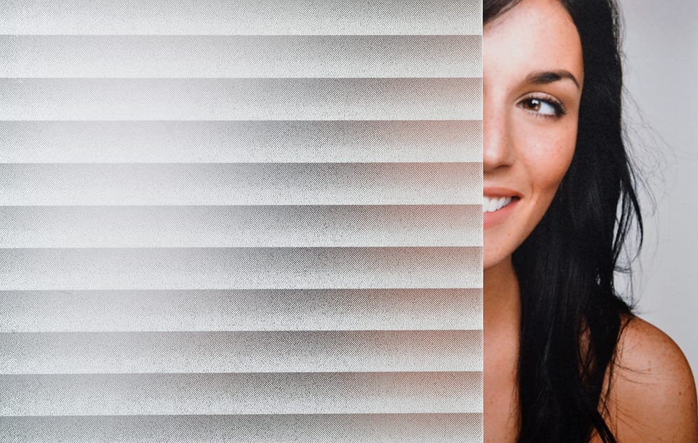 SX-3006 White Frosted Mini Blind decorative window film โ Arizona House of Film