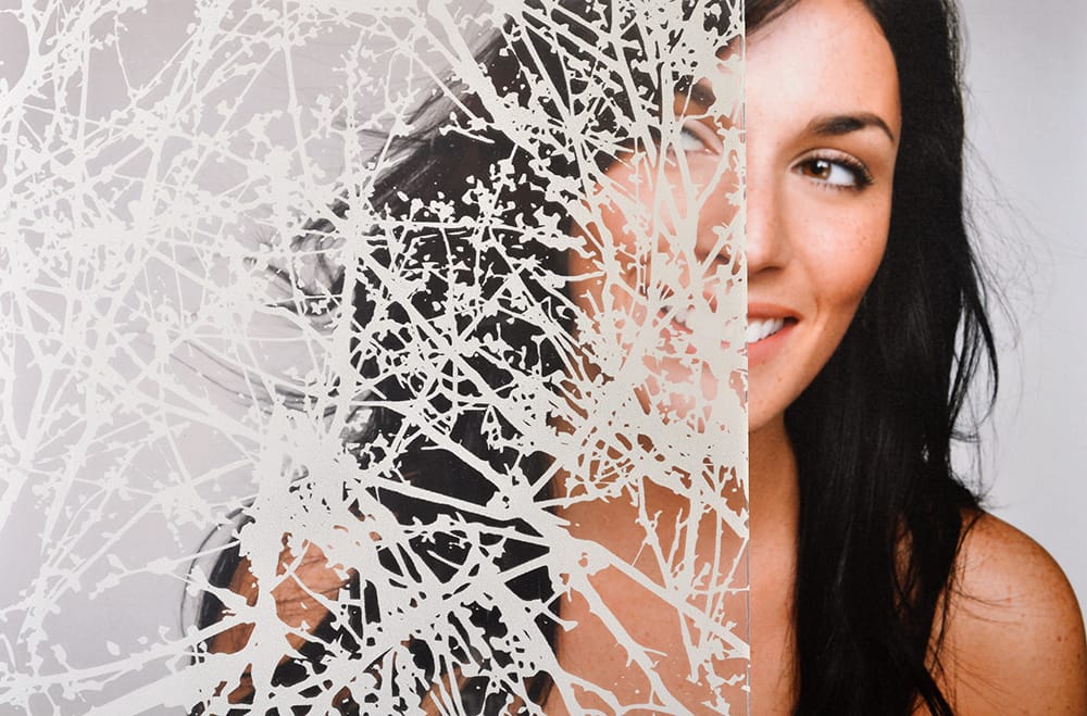 SX-5020 White Spring Buds decorative window film โ Arizona House of Film