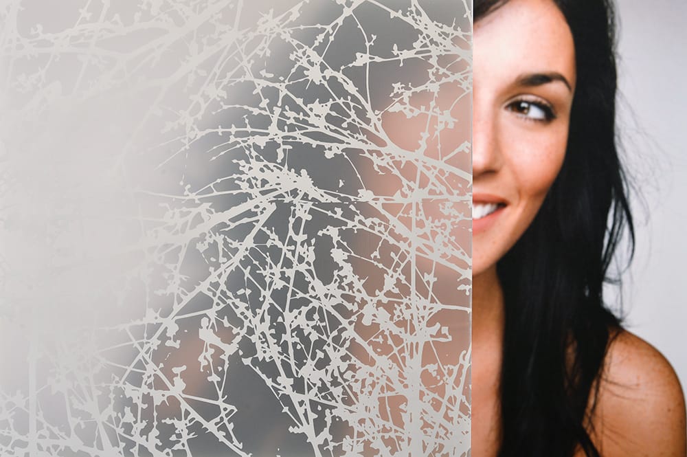 SX-5033 Matte Spring Buds decorative window film โ Arizona House of Film
