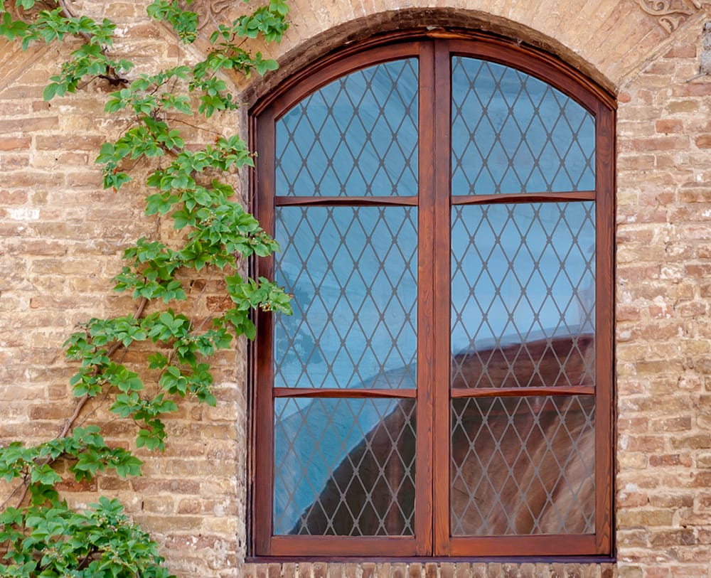 SX-BSFT Trellis Bird Safety Film decorative window film โ Arizona House of Film