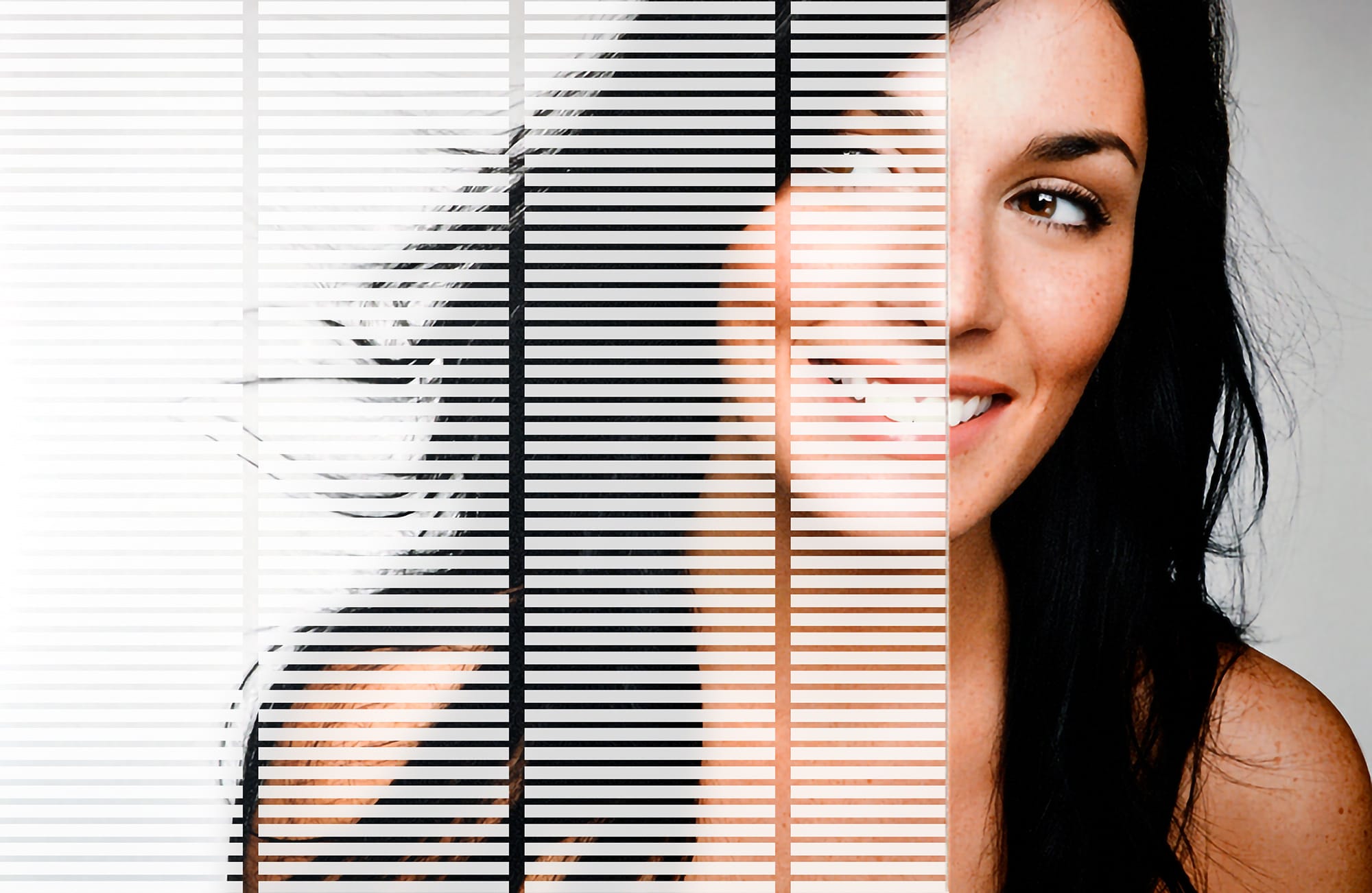 SX-C375 White Paracelli Mini Blind decorative window film โ Arizona House of Film
