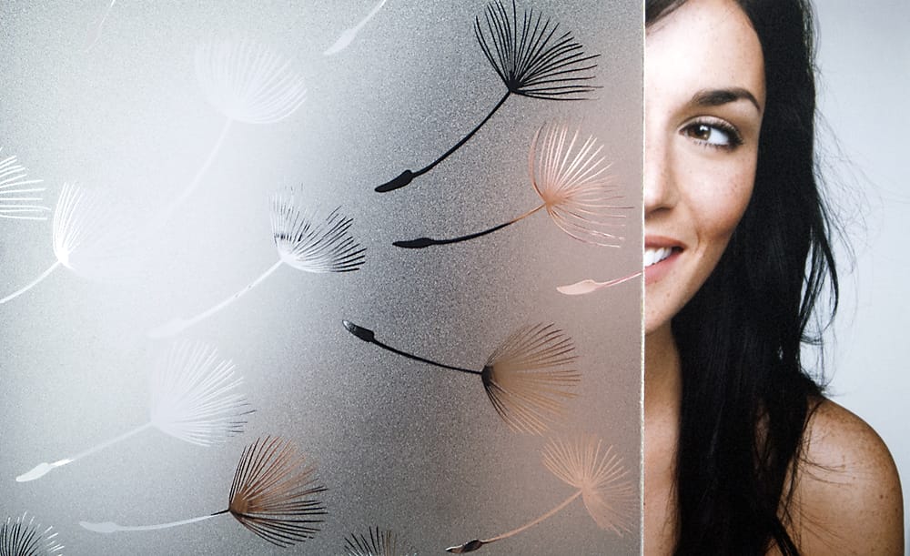 SX-SC576 Whisper decorative window film โ Arizona House of Film
