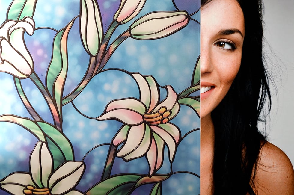 SX-SC583 Magnolia decorative window film โ Arizona House of Film