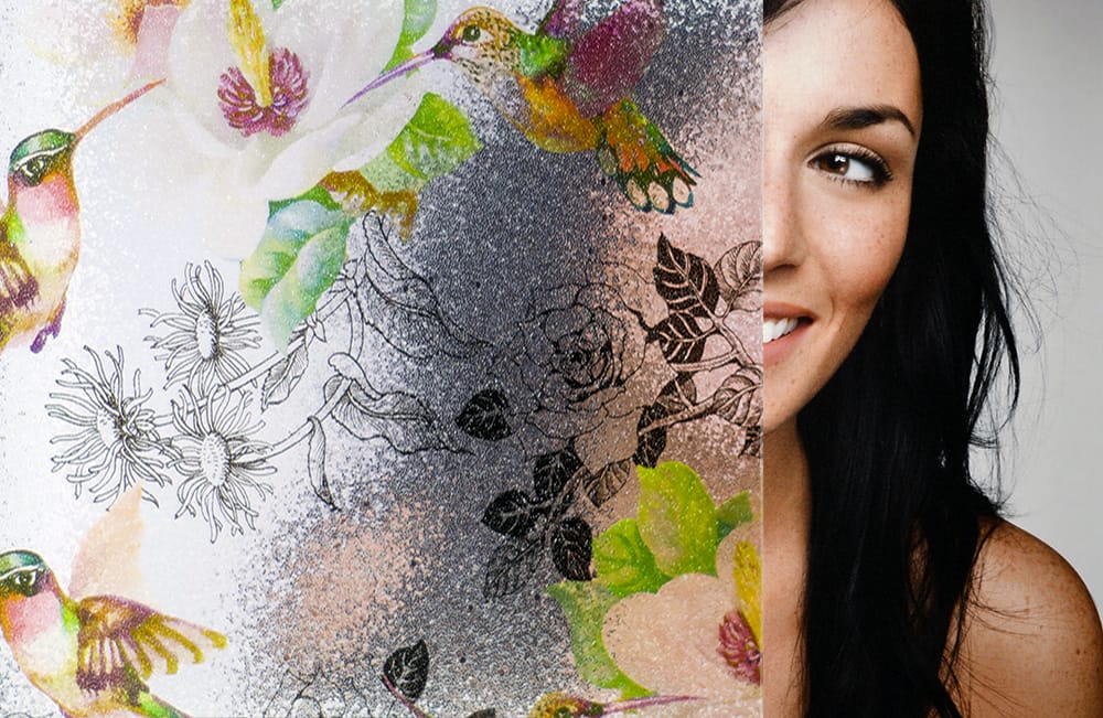 SX-SC672 Humming Bird Chips decorative window film โ Arizona House of Film