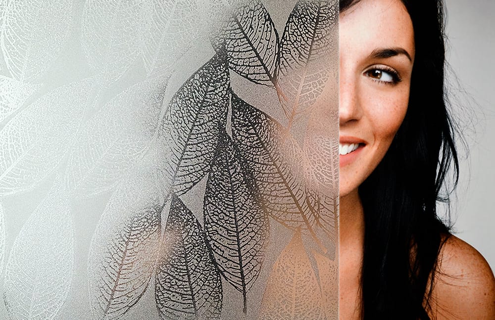 SX-SC682 Frosted Leaf decorative window film โ Arizona House of Film