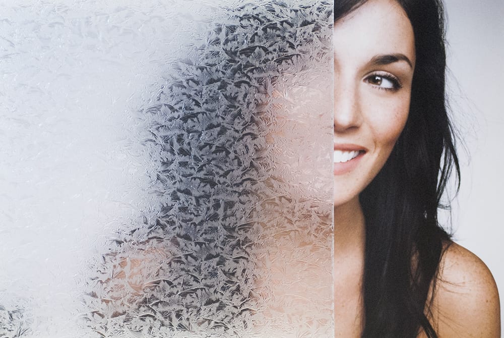 SX-SC685 Glue Chip decorative window film โ Arizona House of Film