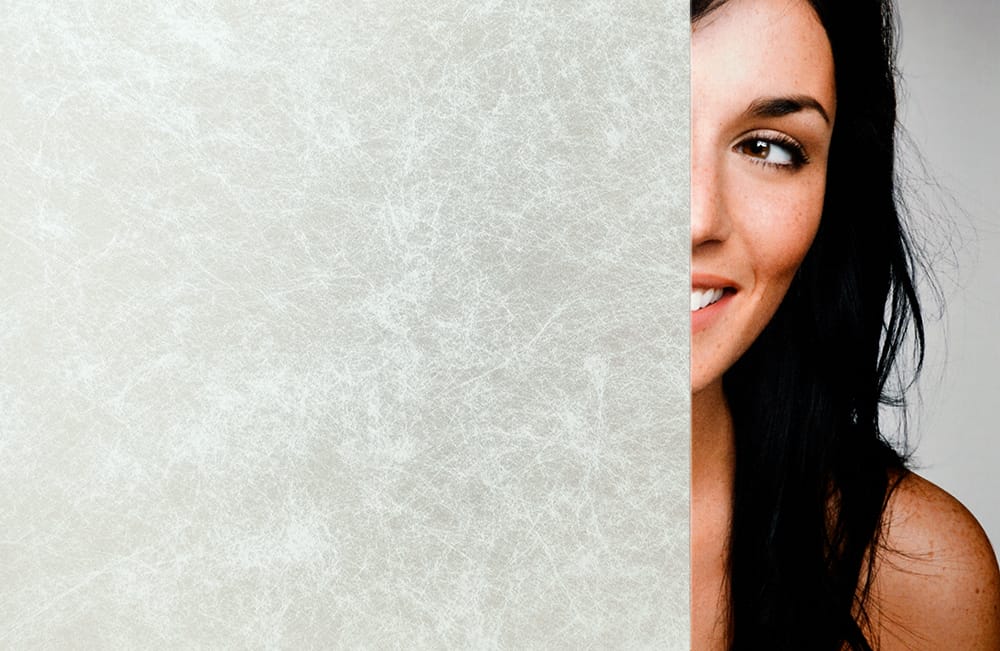 SXJ-0403 Matrix White Matte decorative window film โ Arizona House of Film