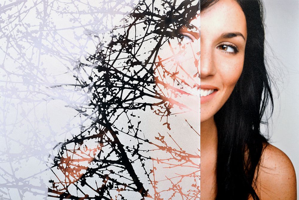 SX-5020IN Clear Spring Buds decorative window film — Arizona House of Film