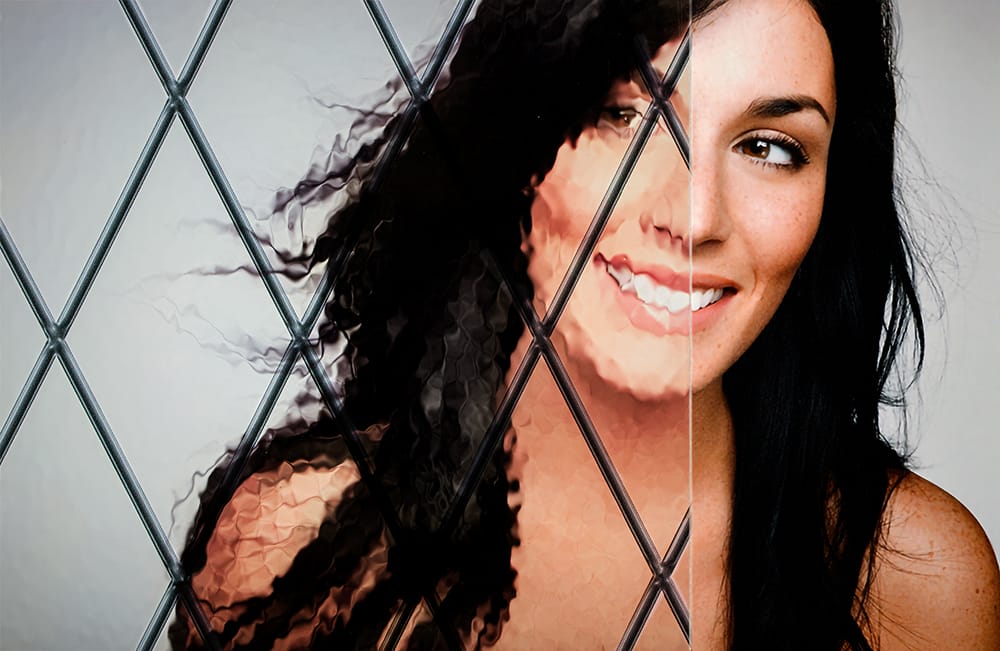 SGD-6011 Olde English decorative window film — Arizona House of Film