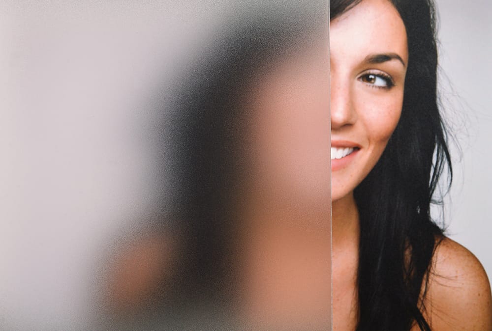 SX-1000 Fine Cast Sandblast decorative window film — Arizona House of Film