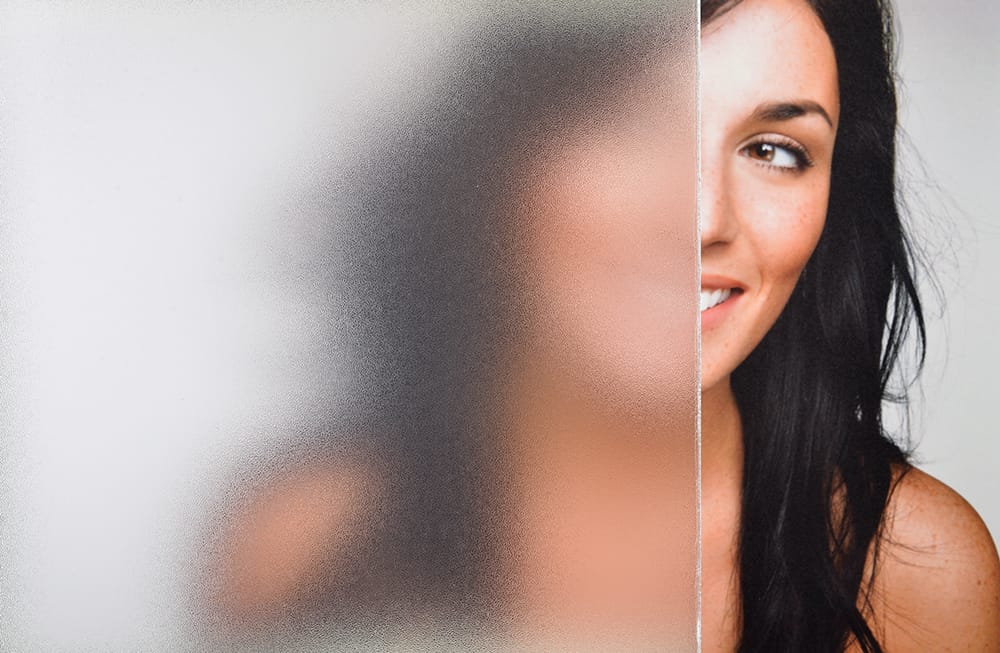 SX-1309 Fine Crystal Frost decorative window film — Arizona House of Film