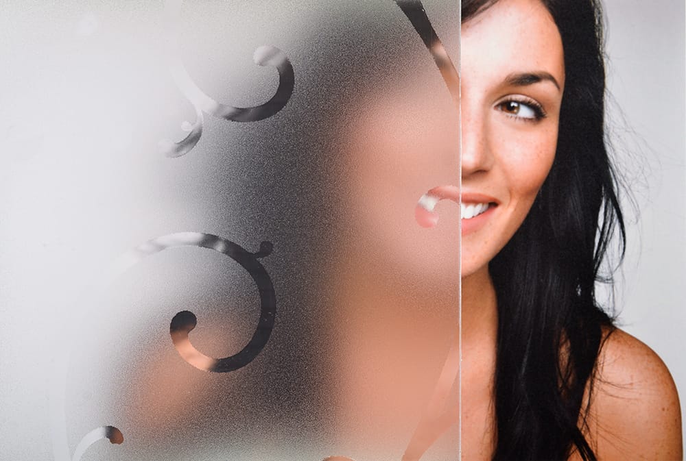 SX-1546 Frosted Vine decorative window film — Arizona House of Film