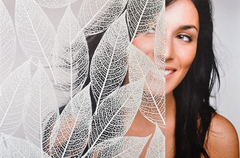 SX-3142 Transparent White Leaf decorative window film — Arizona House of Film