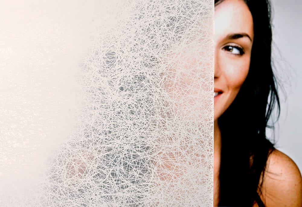 SX-5032 Matte Tumbleweed decorative window film — Arizona House of Film