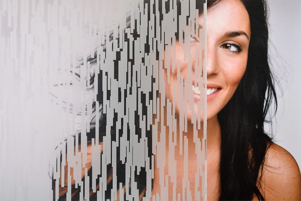 SX-9100 Chicago decorative window film — Arizona House of Film