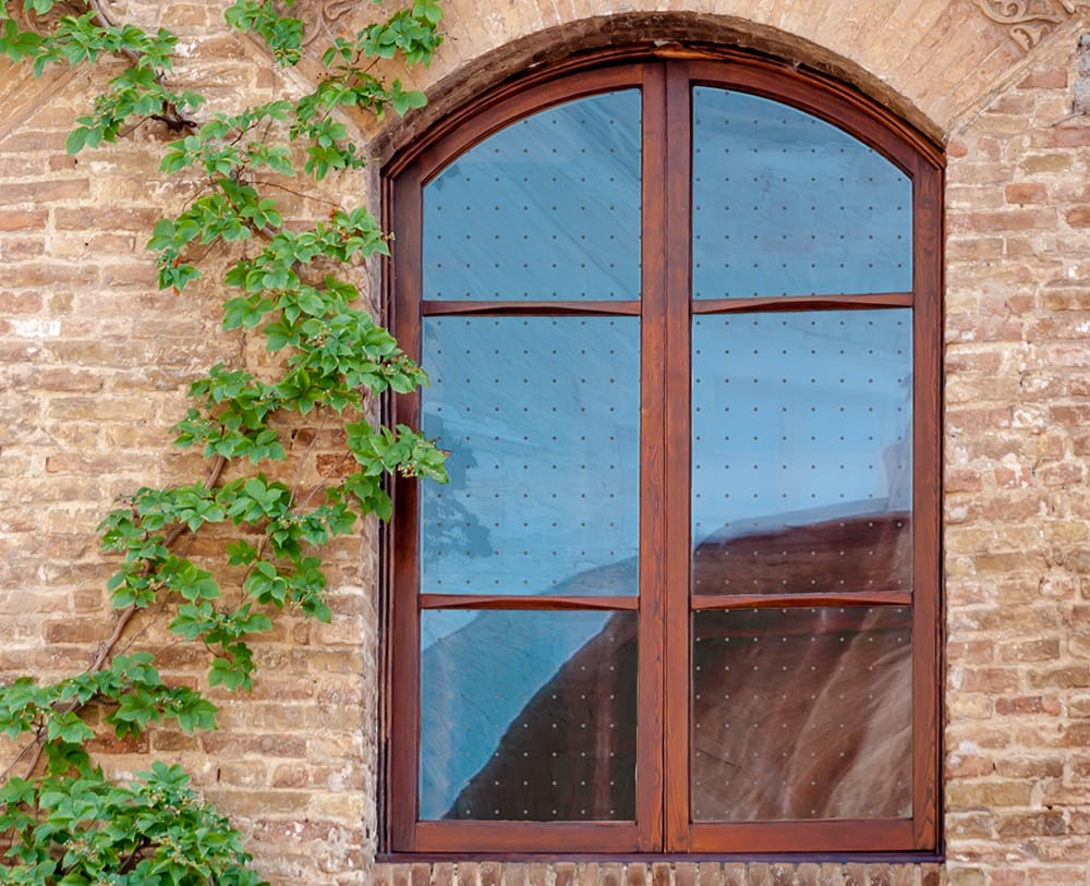 SX-BSFD Frost Dot Bird Safety Film decorative window film — Arizona House of Film