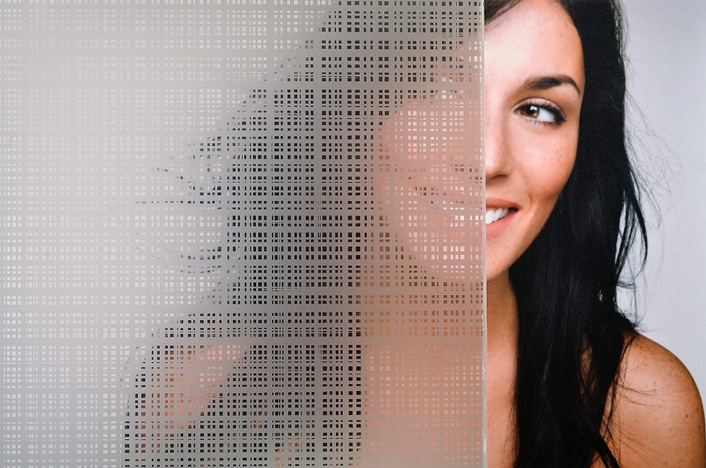 SX-C363 Plaid Etch decorative window film — Arizona House of Film