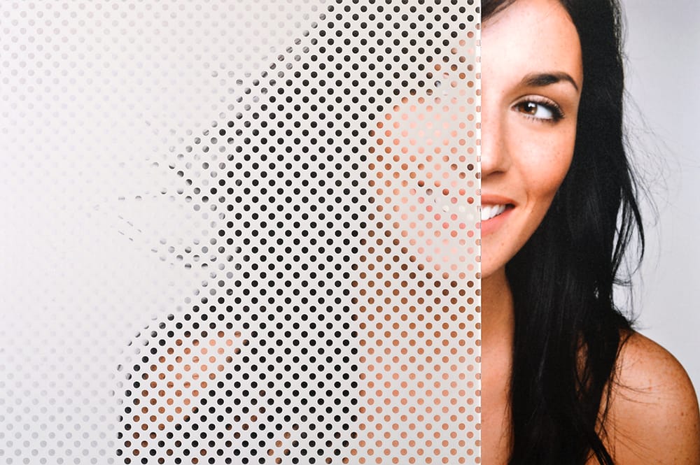 SX-C370 Dot Screen 18 decorative window film — Arizona House of Film