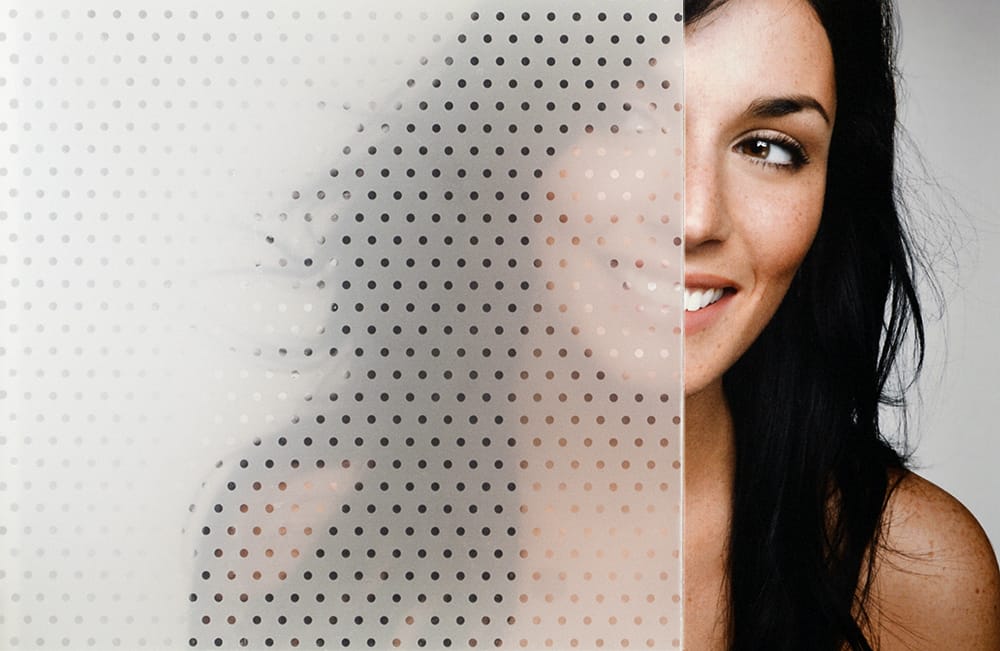 SX-C392 Alps decorative window film — Arizona House of Film