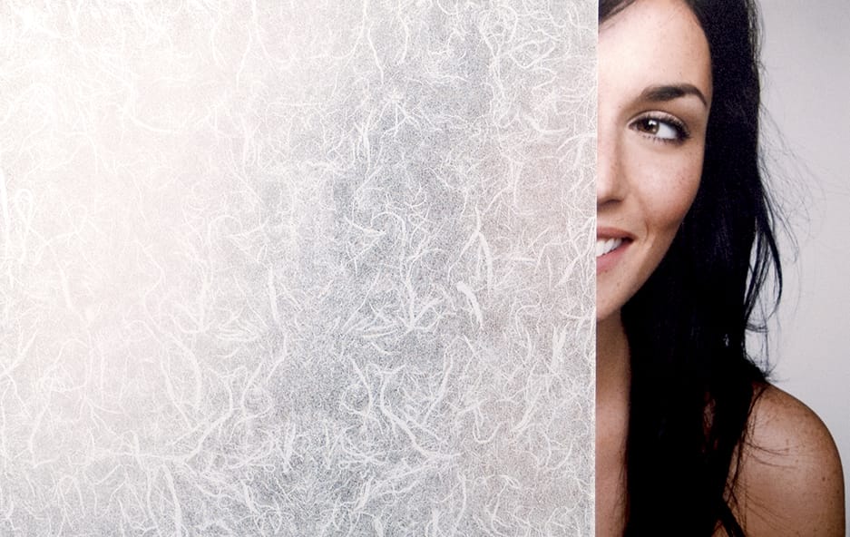 SX-SC0020 STATIC CLING RICE PAPER decorative window film — Arizona House of Film