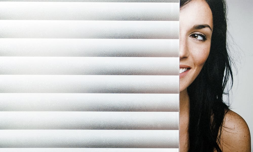 SX-SC008 Frosted Blinds Static Cling decorative window film — Arizona House of Film