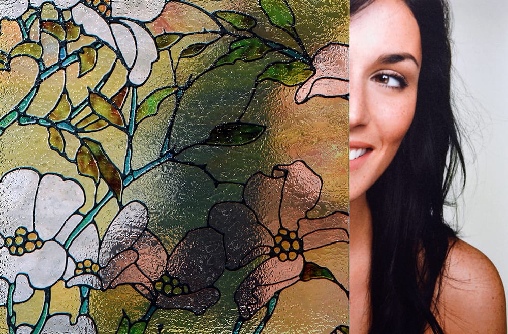 SX-SC488 Dogwood Ice decorative window film — Arizona House of Film