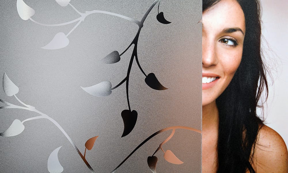 SX-SC549 Frosted Fall decorative window film — Arizona House of Film