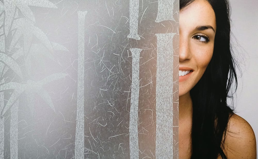 SX-SC656 Rice Bamboo decorative window film — Arizona House of Film