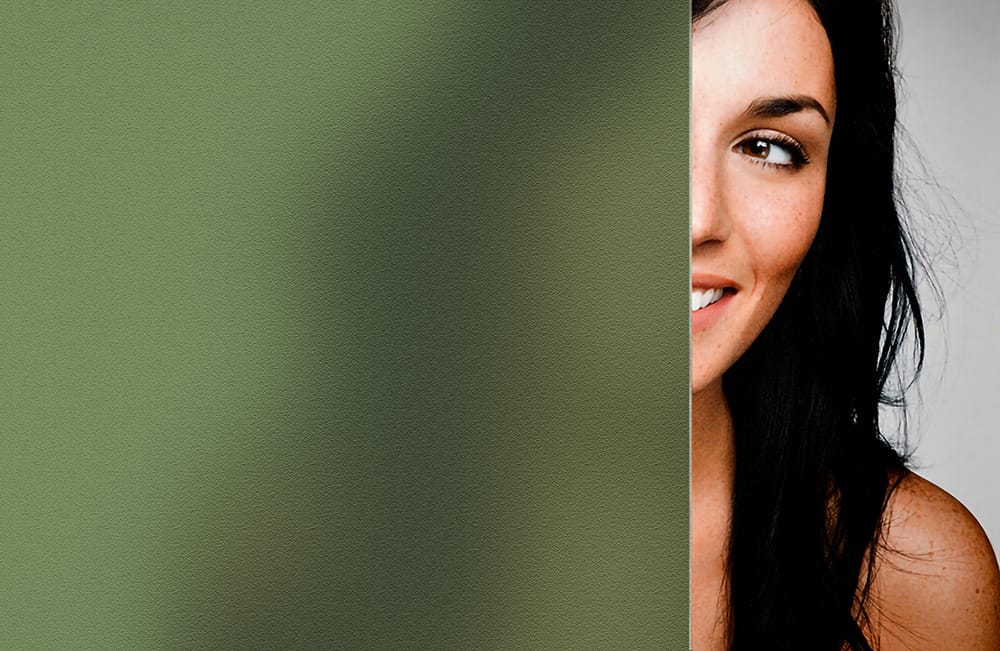 SXB-171 Moss Sand Blast decorative window film — Arizona House of Film