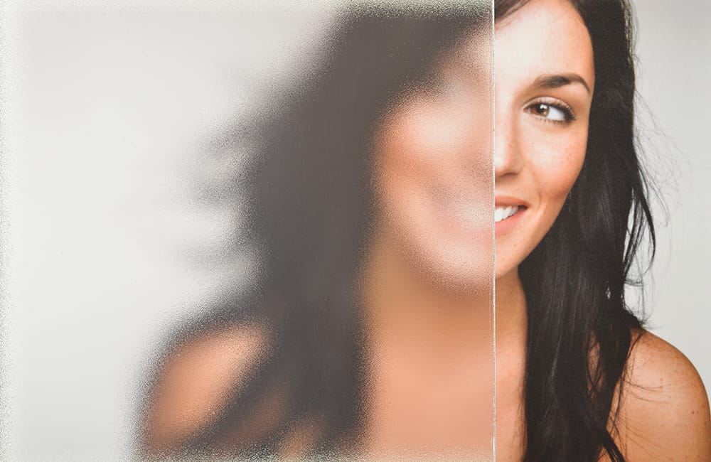 SXR-9829 Glassfrost decorative window film — Arizona House of Film